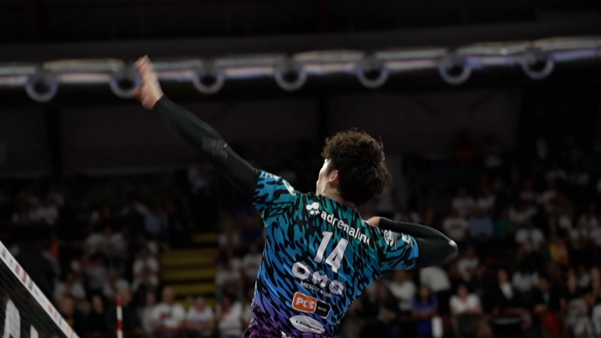 バレーボール選手の後ろ姿