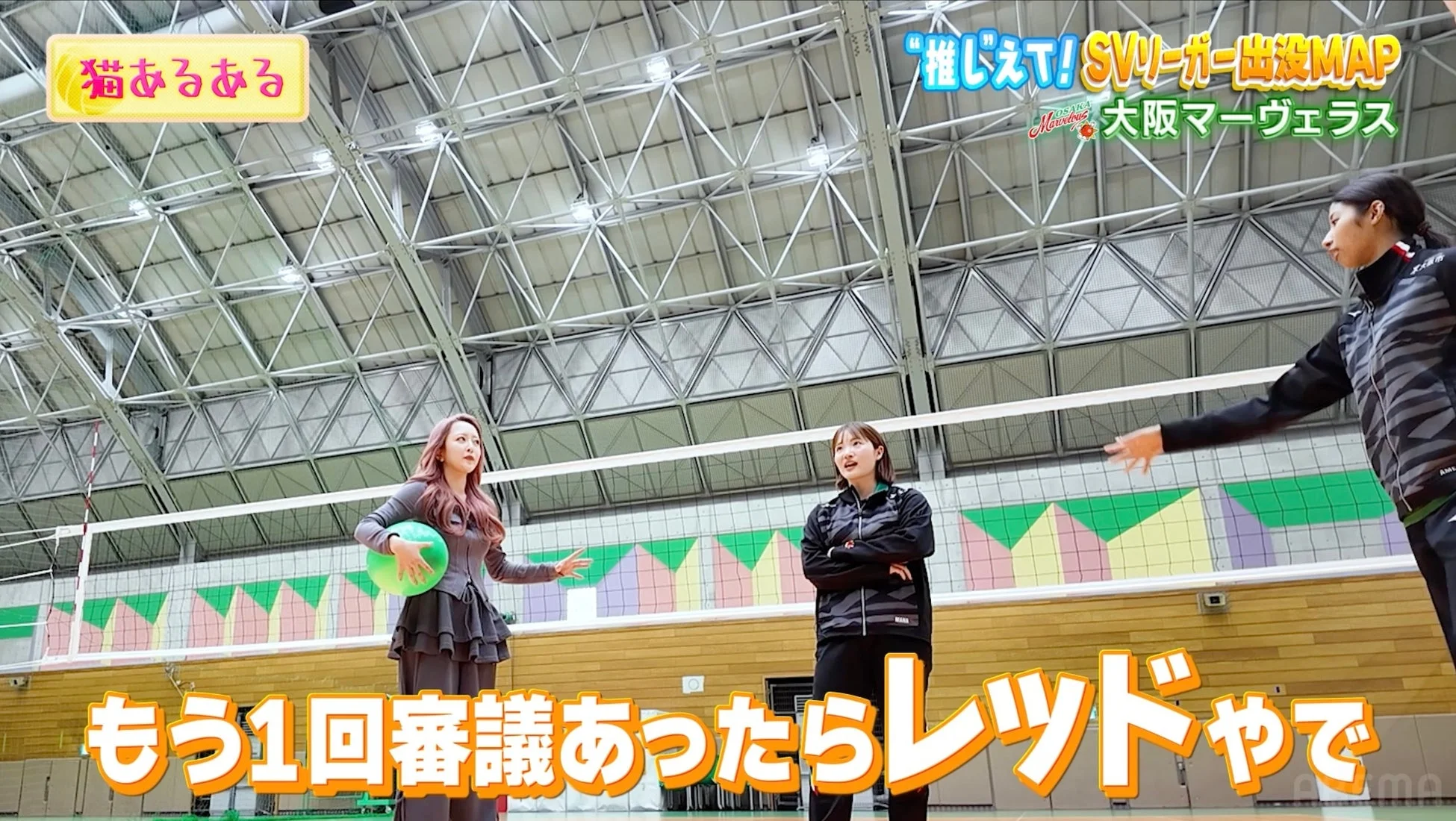 体育館でバレーボールネットを挟んで会話する3人の女性。「猫あるある」のテロップ