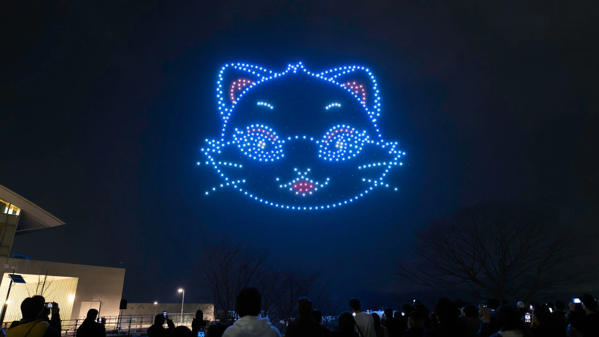 夜空に青い光で描かれた猫の顔