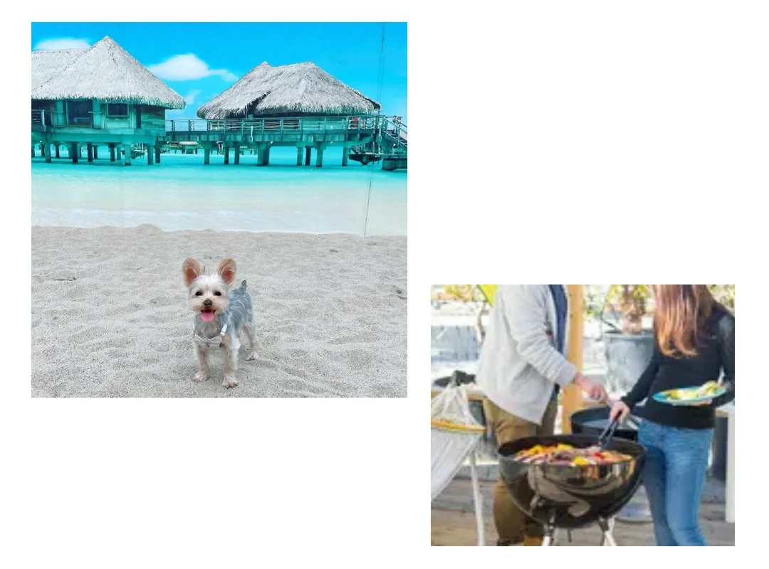 砂浜に立つ愛らしい犬と水上コテージの風景、そして人々がバーベキューを楽しむ様子が写っています。リゾートでのリラックスした休暇とアウトドアでの食事の楽しさを同時に表現した画像です。