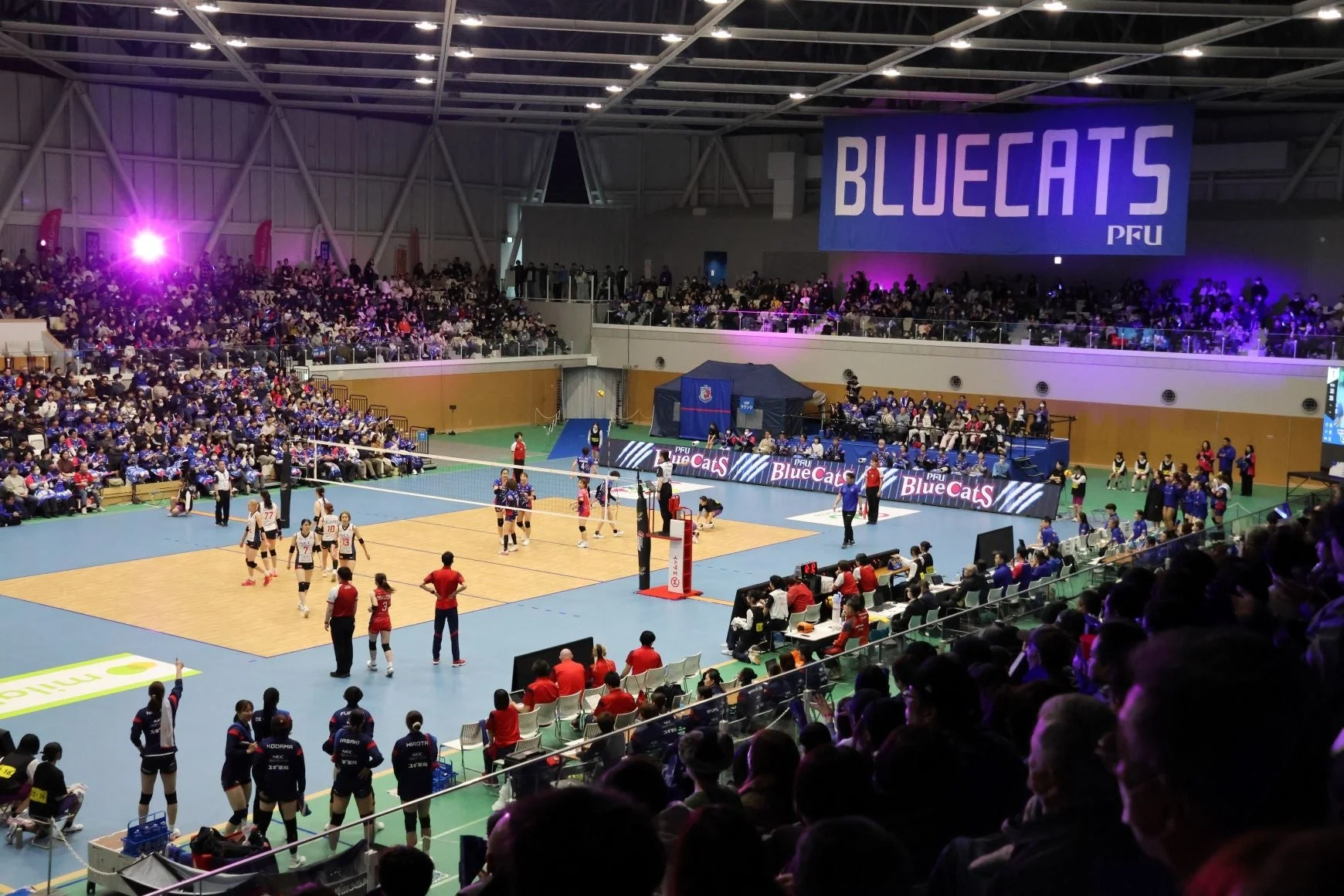 試合中のアリーナの様子