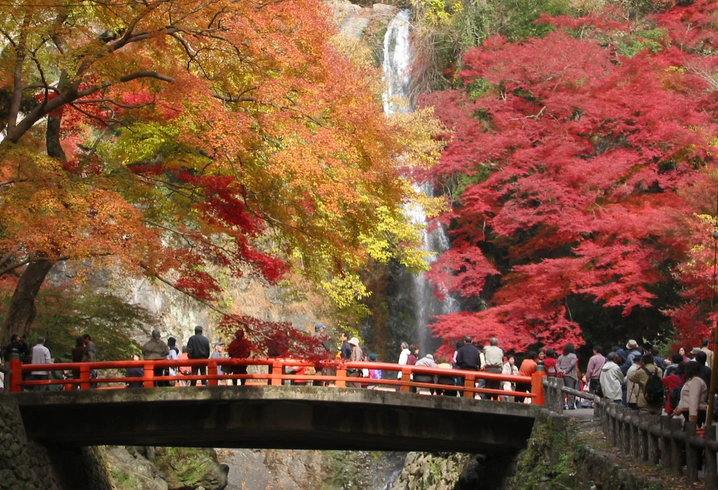 箕面大滝と紅葉