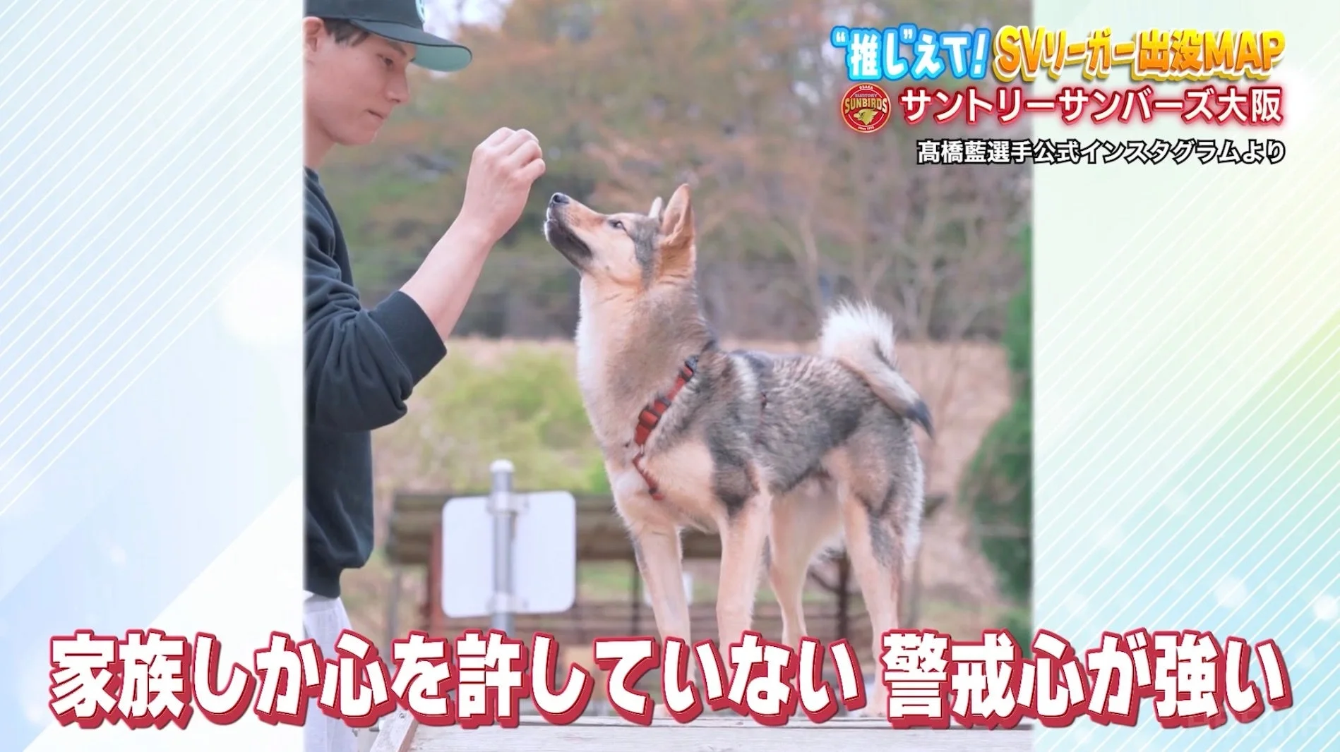 髙橋選手の愛犬ヨグくん