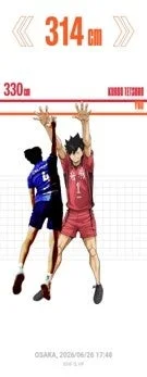 バレーボールの試合で2人の選手がブロックのためにジャンプしているイラスト。赤色のユニフォームの選手は黒尾鉄朗と表記されており、314cmと330cmの高さが表示されている。躍動感あふれるスポーツシーン。